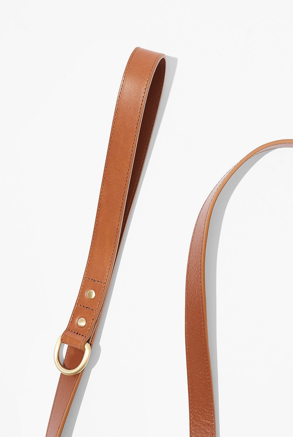 Enzo Leather Pet Lead